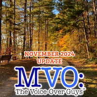 MVO: The Voiceover Guys November 2024 Update